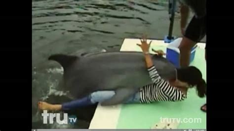 Hapless tourist gets humped by frisky dolphin